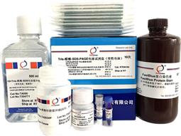 Tris-醋酸-SDS-PAGE電泳試劑盒（變性電泳，含預(yù)制膠）