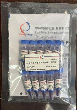 4×蛋白上樣緩沖（非變性，非還原）